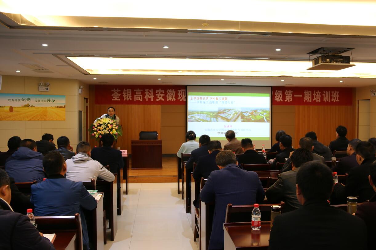 华人策略最新地址