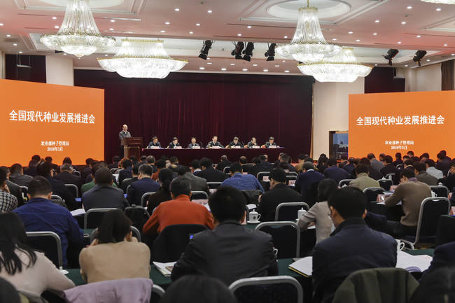 华人策略最新地址