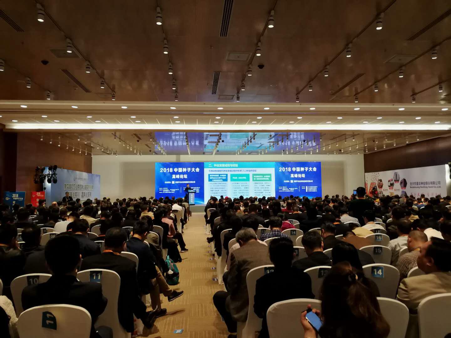 华人策略最新地址