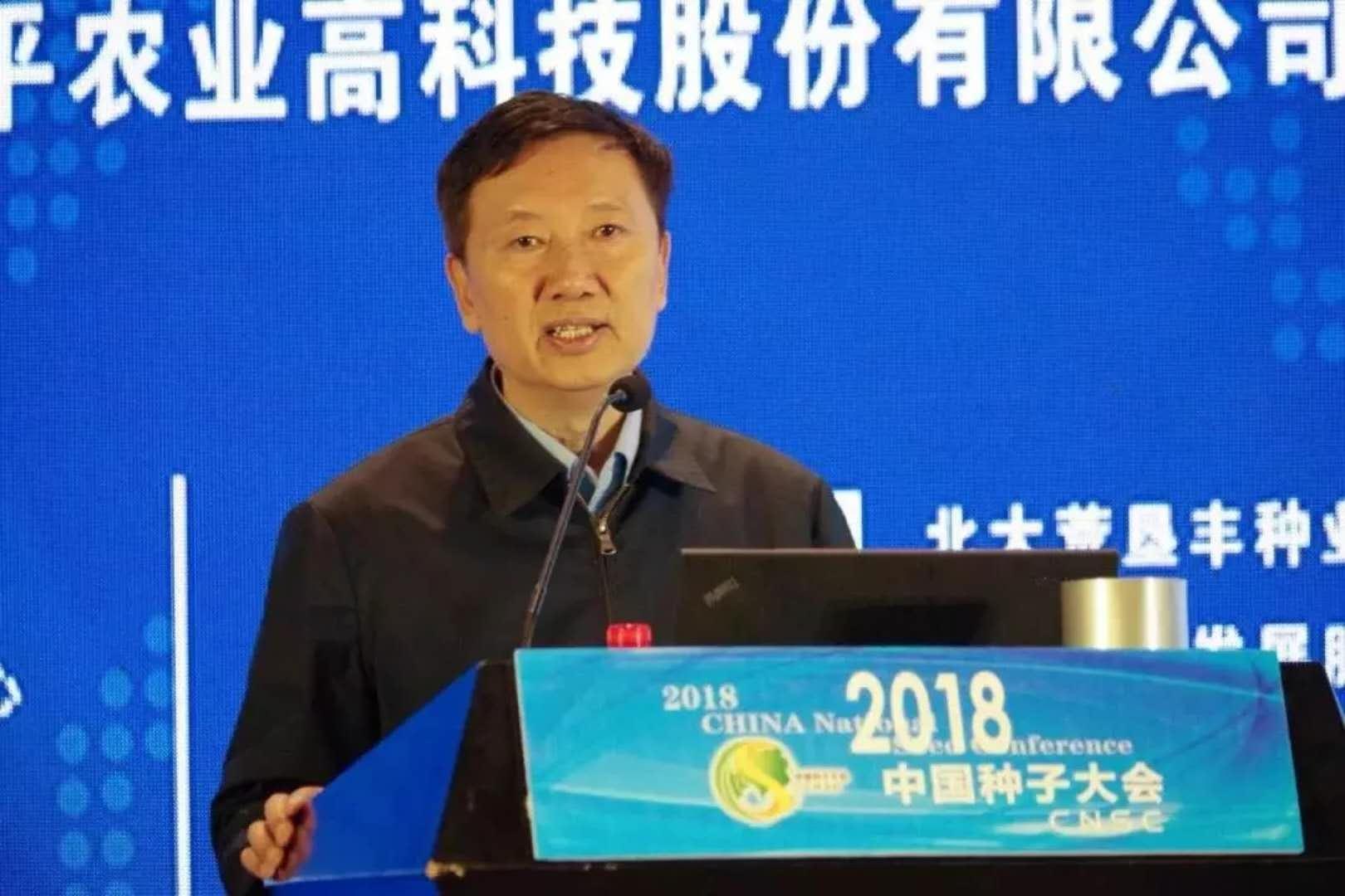 华人策略最新地址