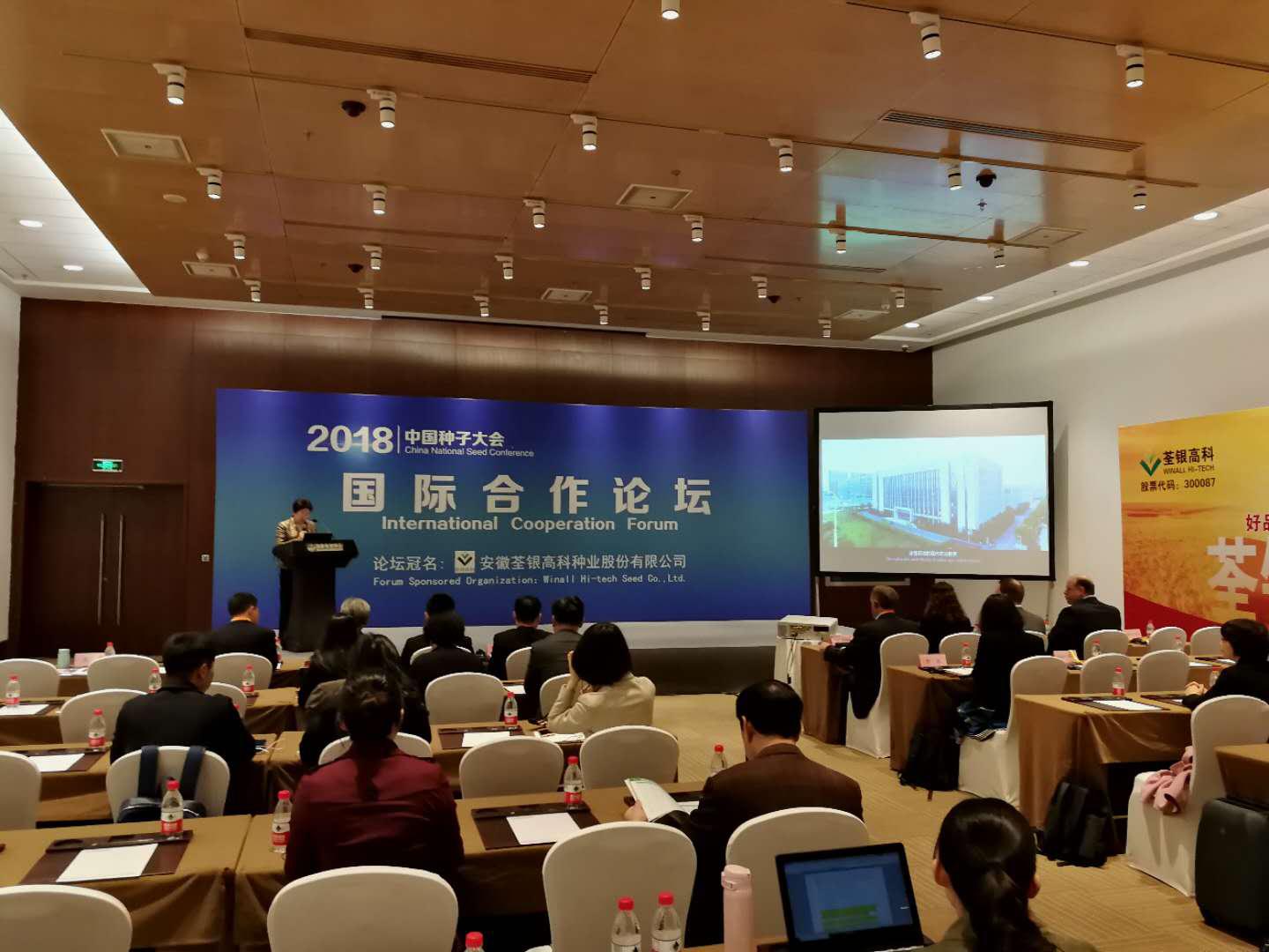 华人策略最新地址