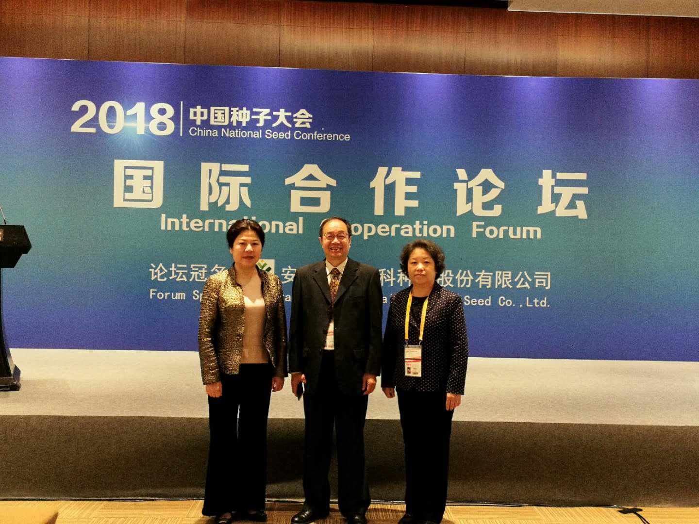 华人策略最新地址