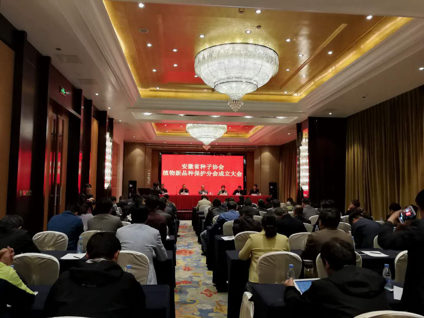 华人策略最新地址