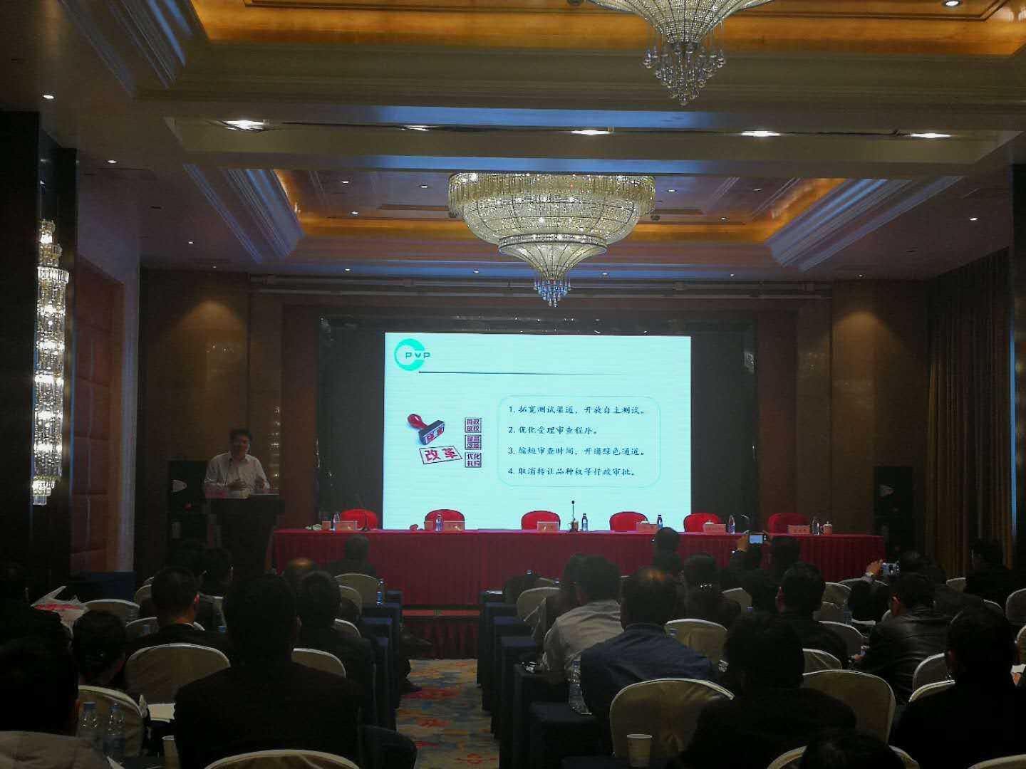 华人策略最新地址