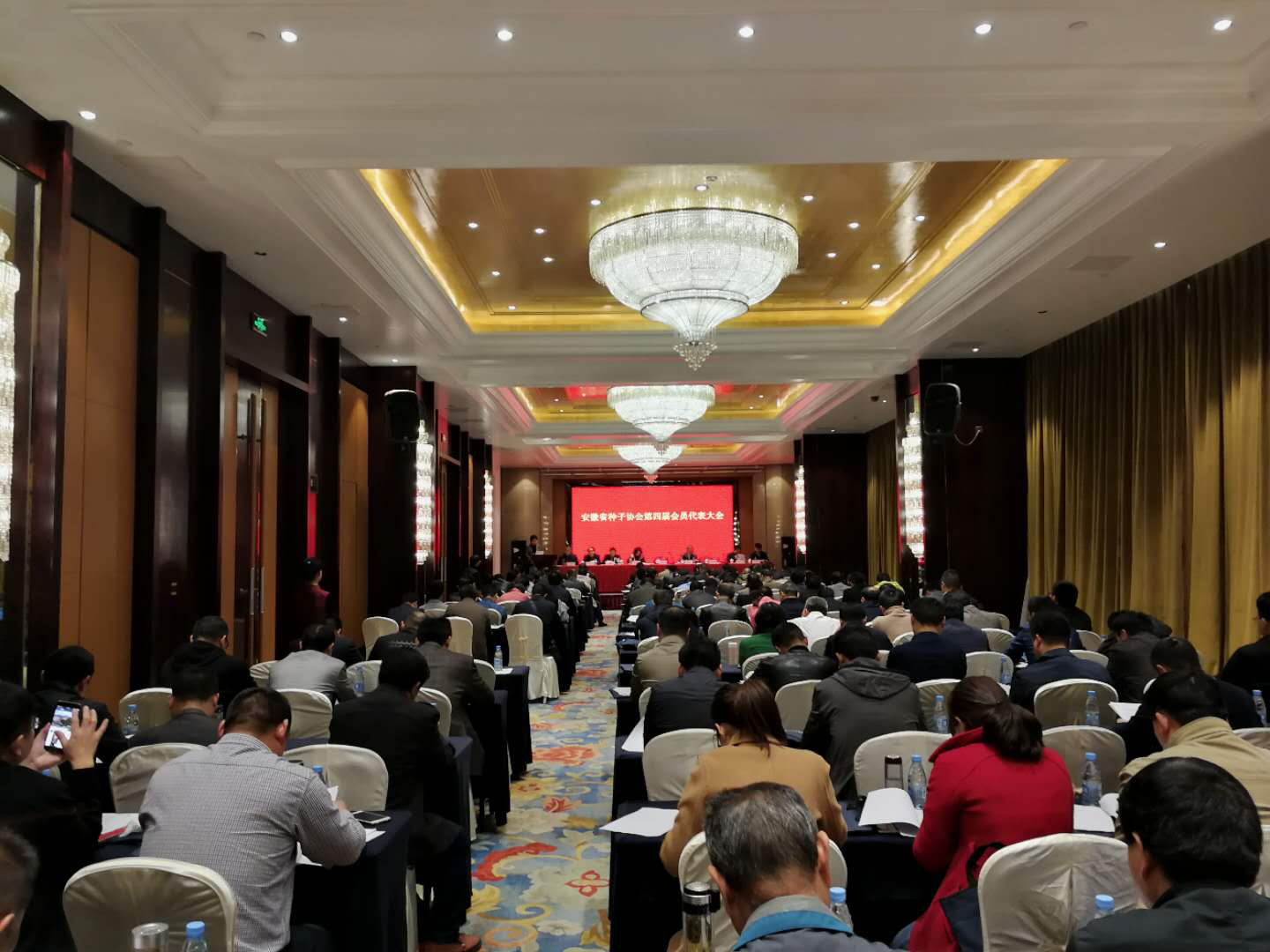 华人策略最新地址