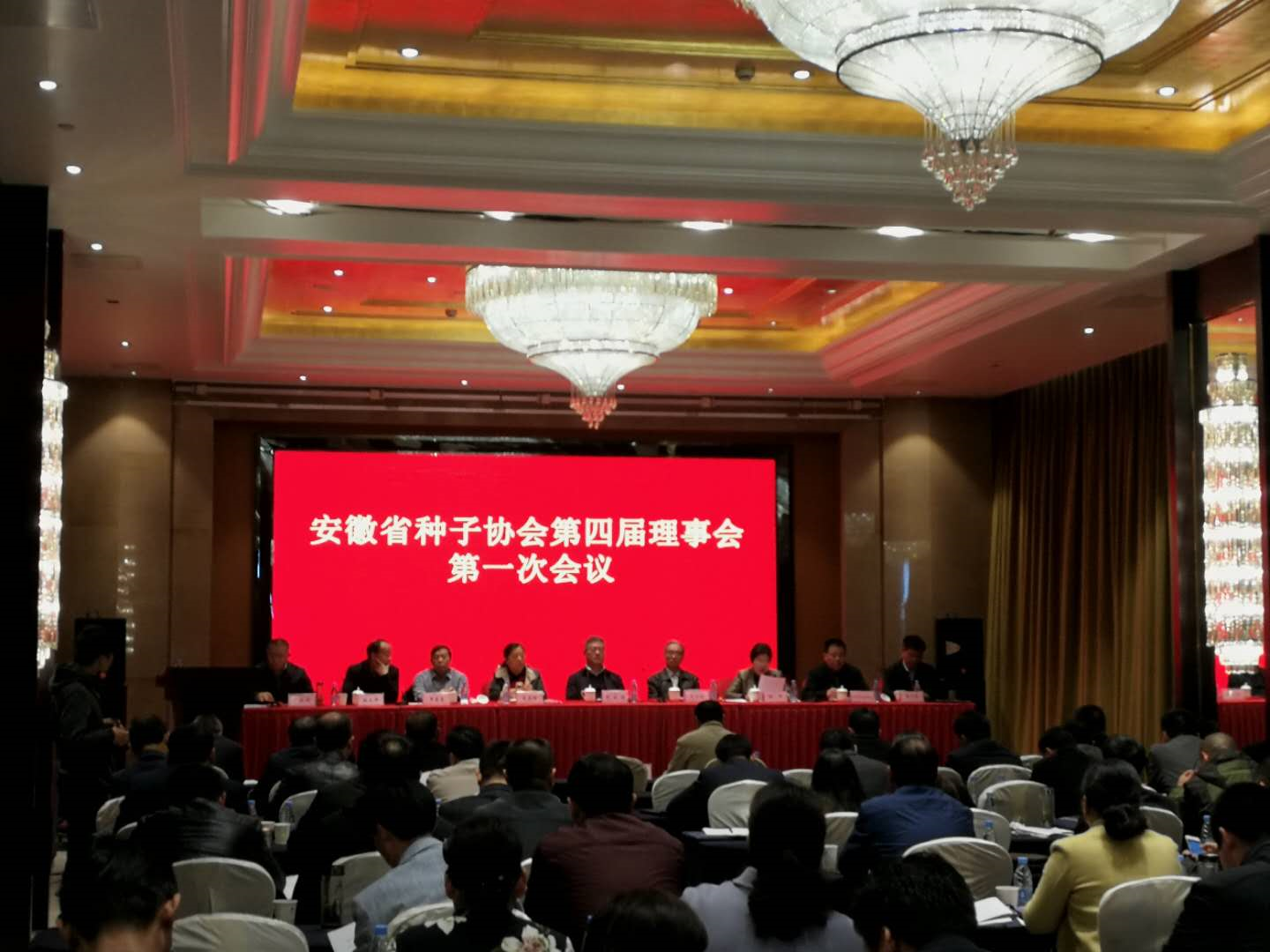 华人策略最新地址