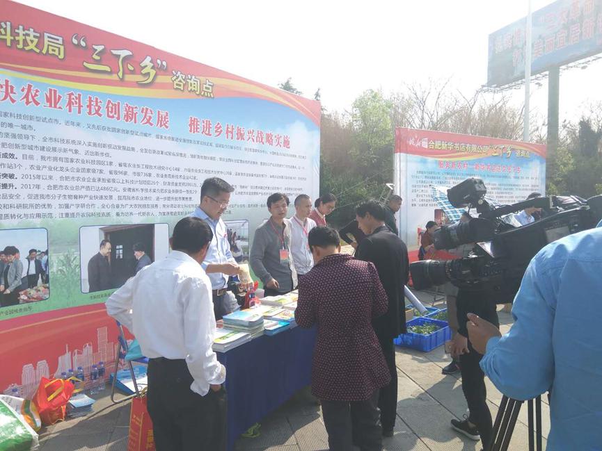 华人策略最新地址