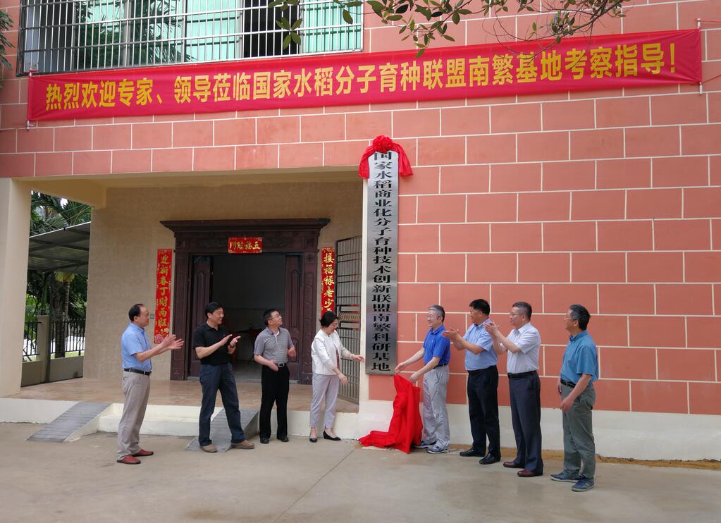 华人策略最新地址