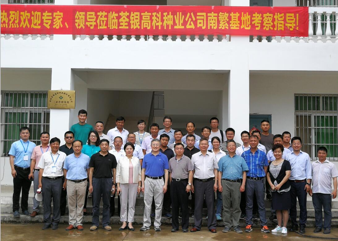 华人策略最新地址