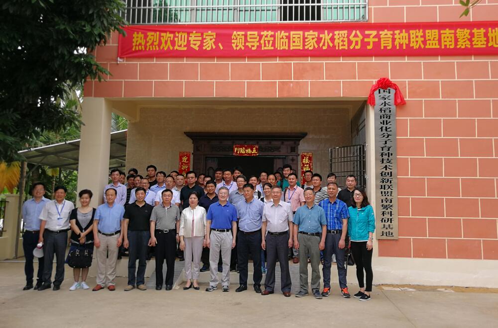 华人策略最新地址