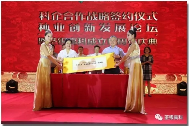 华人策略最新地址