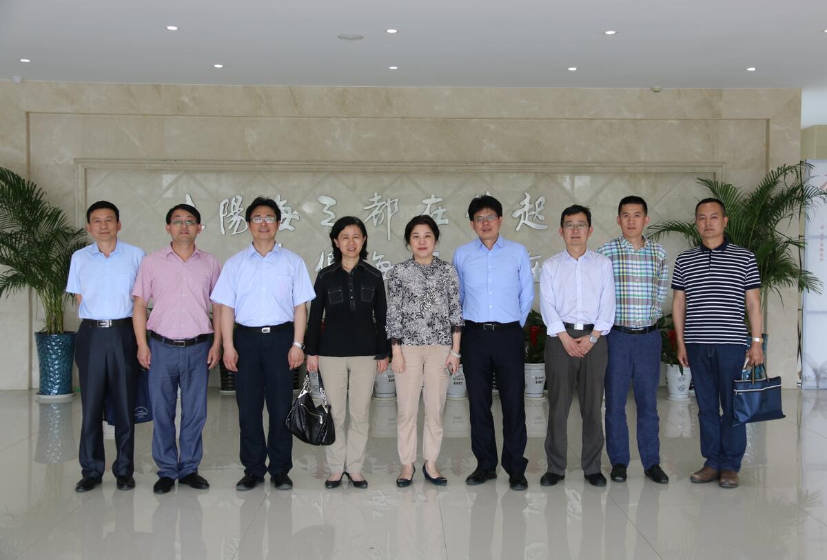 华人策略最新地址