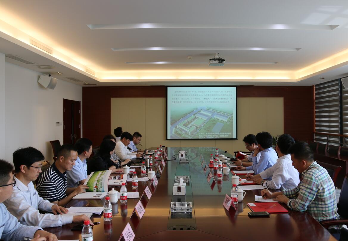 华人策略最新地址