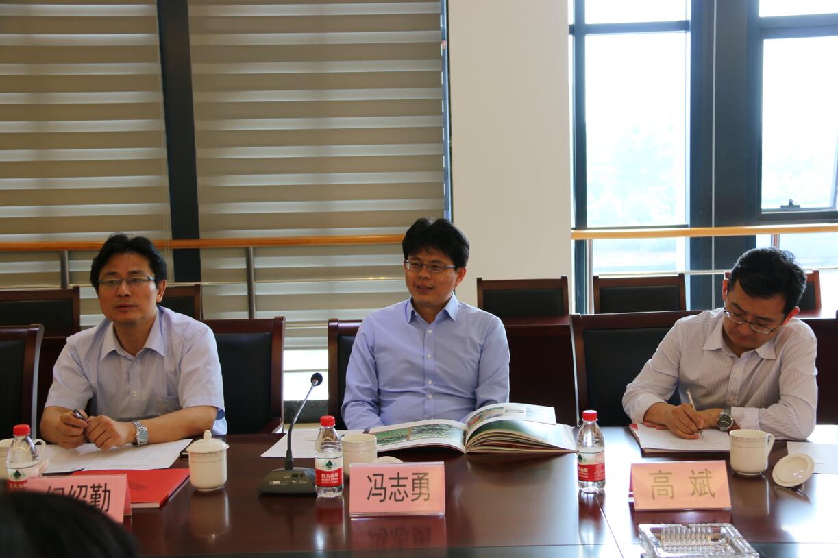 华人策略最新地址