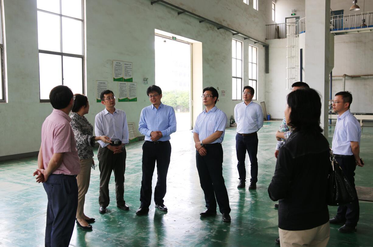 华人策略最新地址