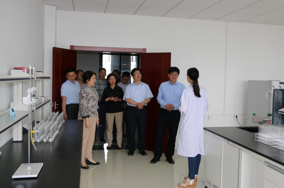 华人策略最新地址