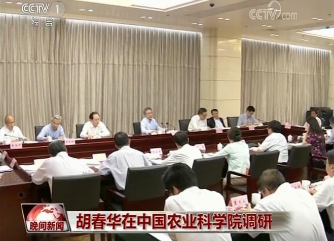 华人策略最新地址