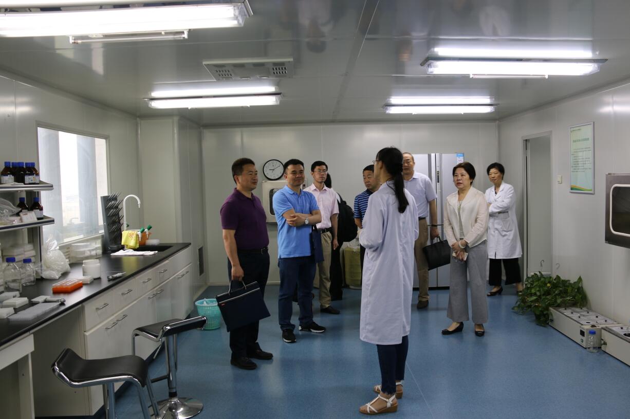 华人策略最新地址