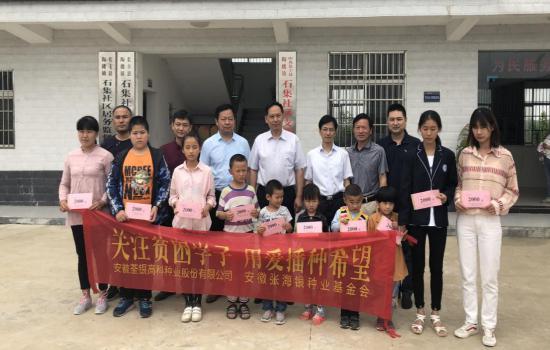 华人策略最新地址