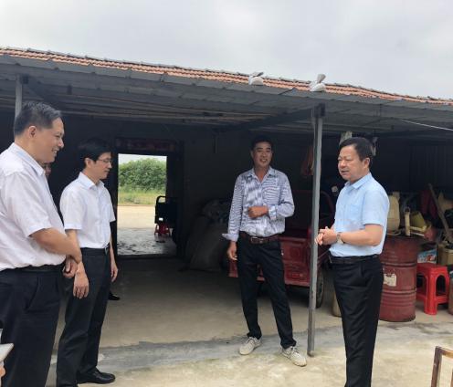 华人策略最新地址