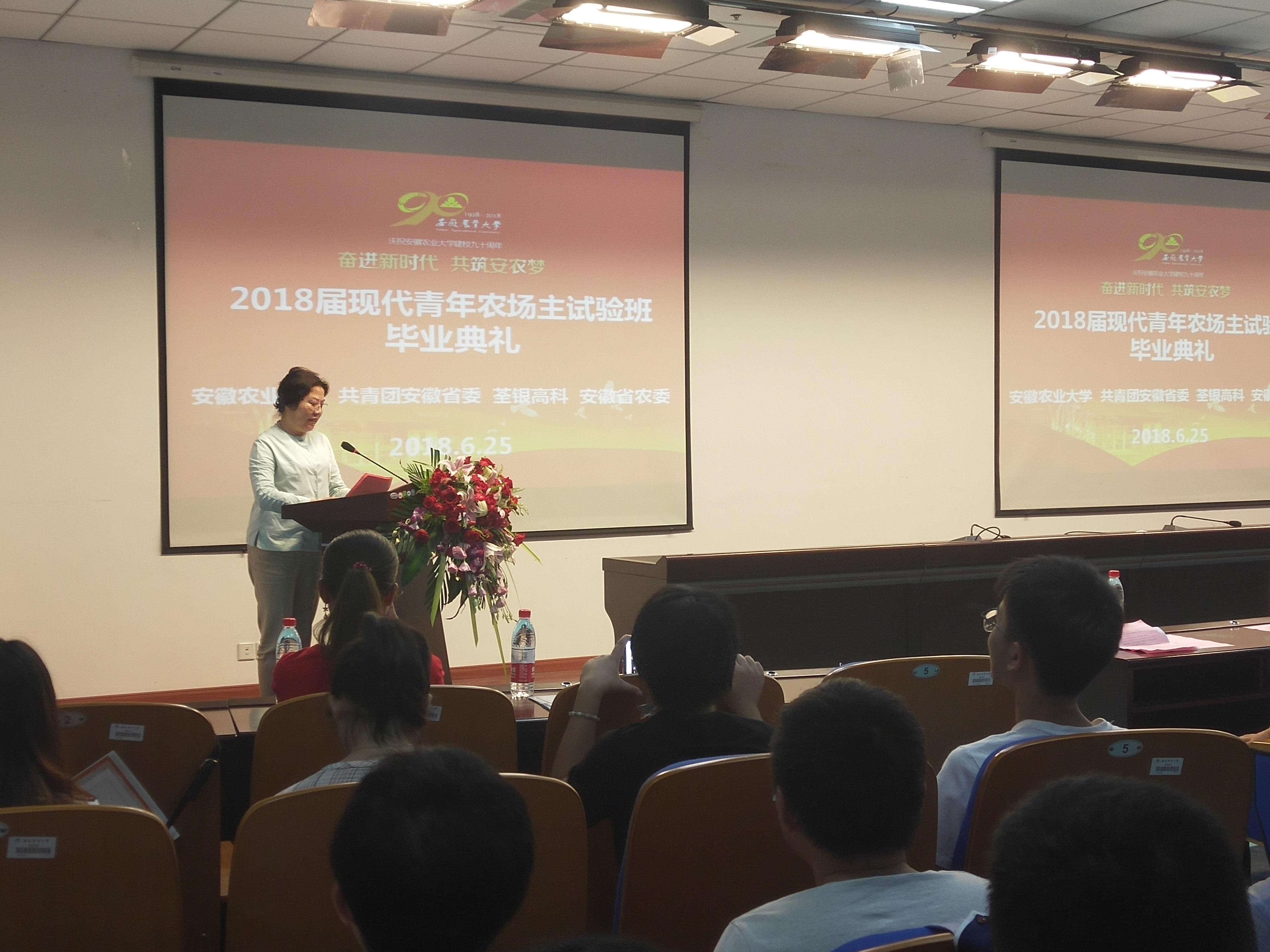 华人策略最新地址