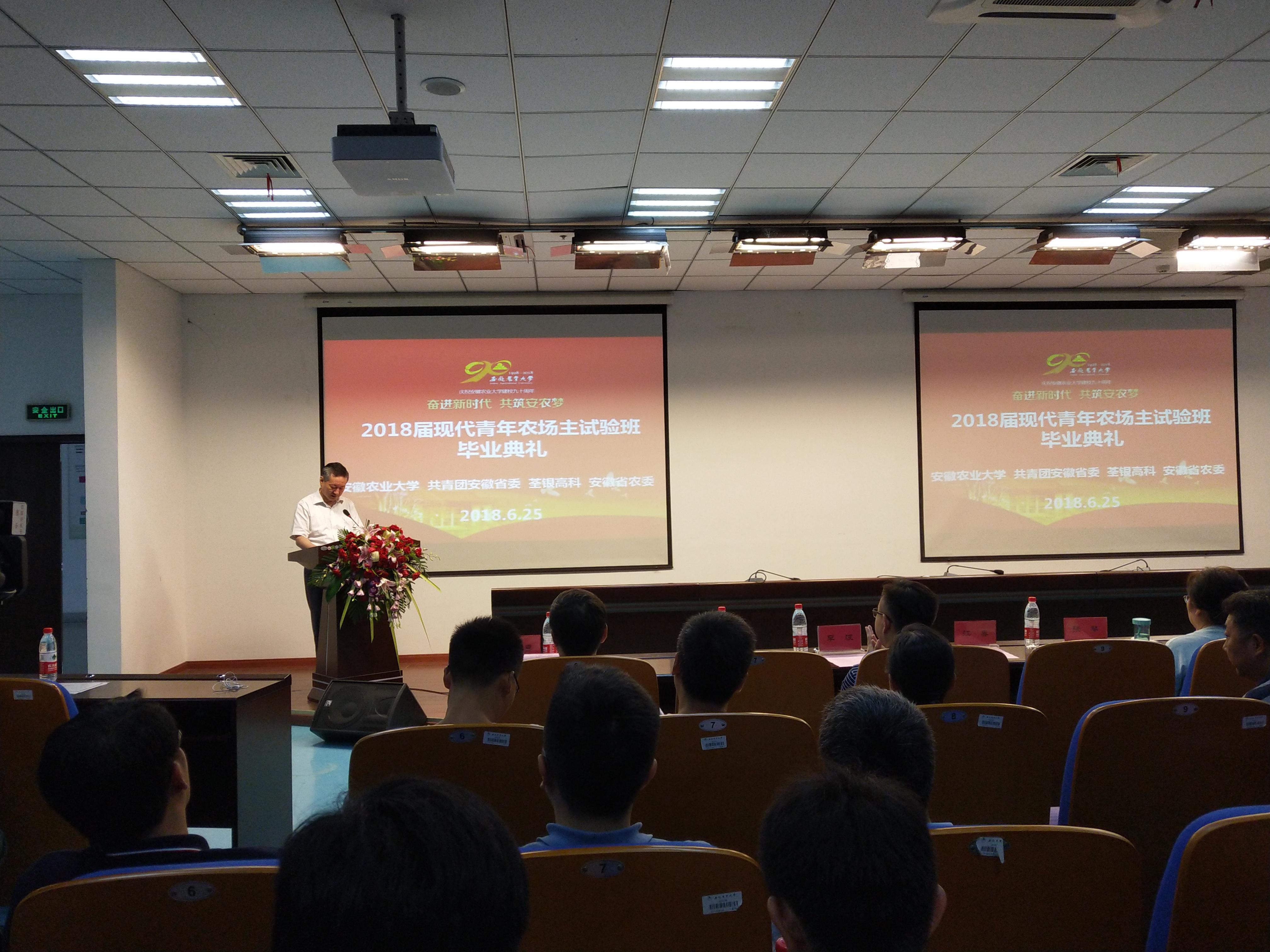 华人策略最新地址