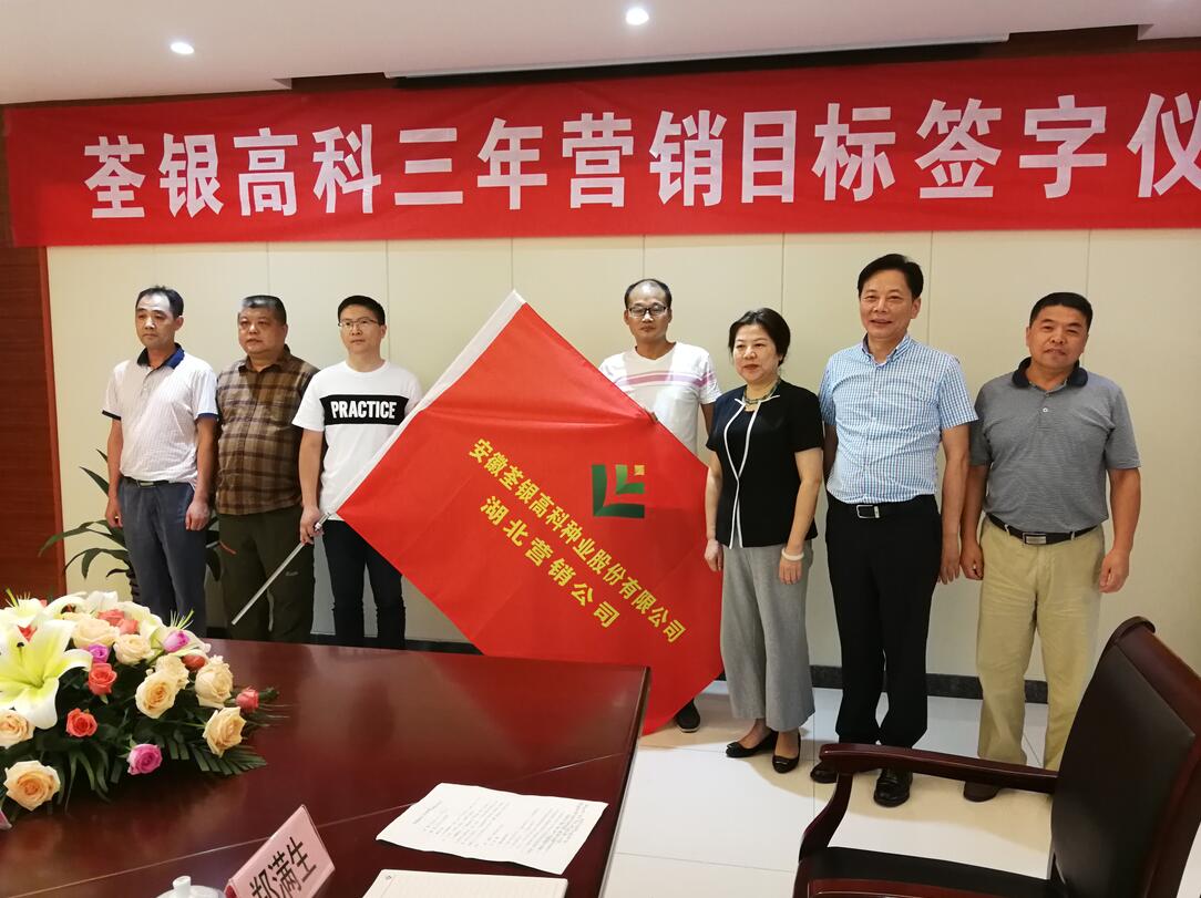 华人策略最新地址