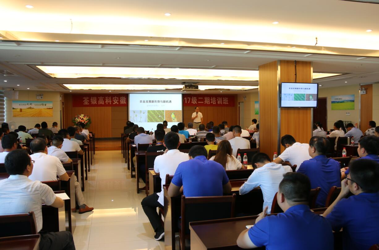 华人策略最新地址