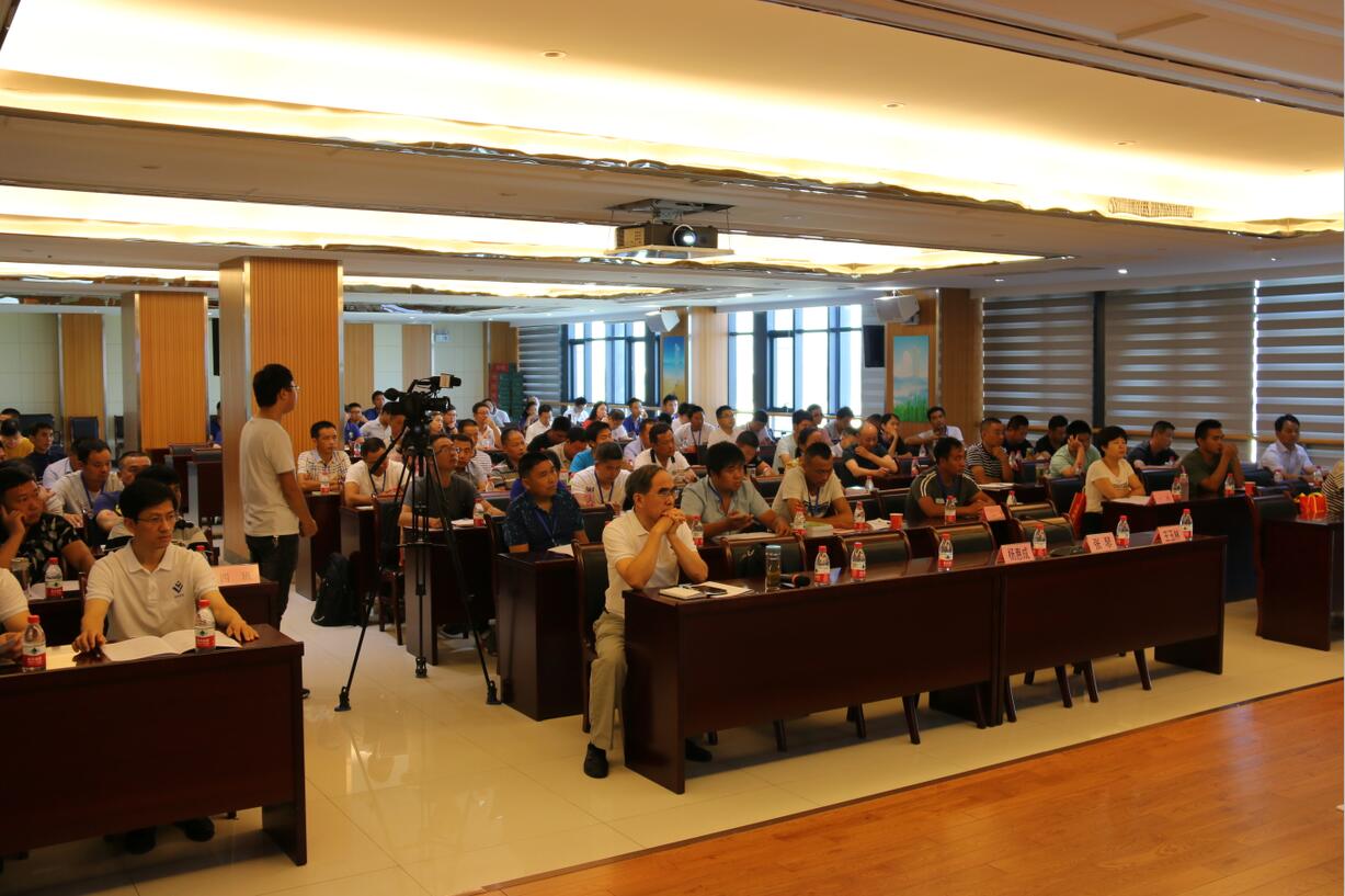 华人策略最新地址