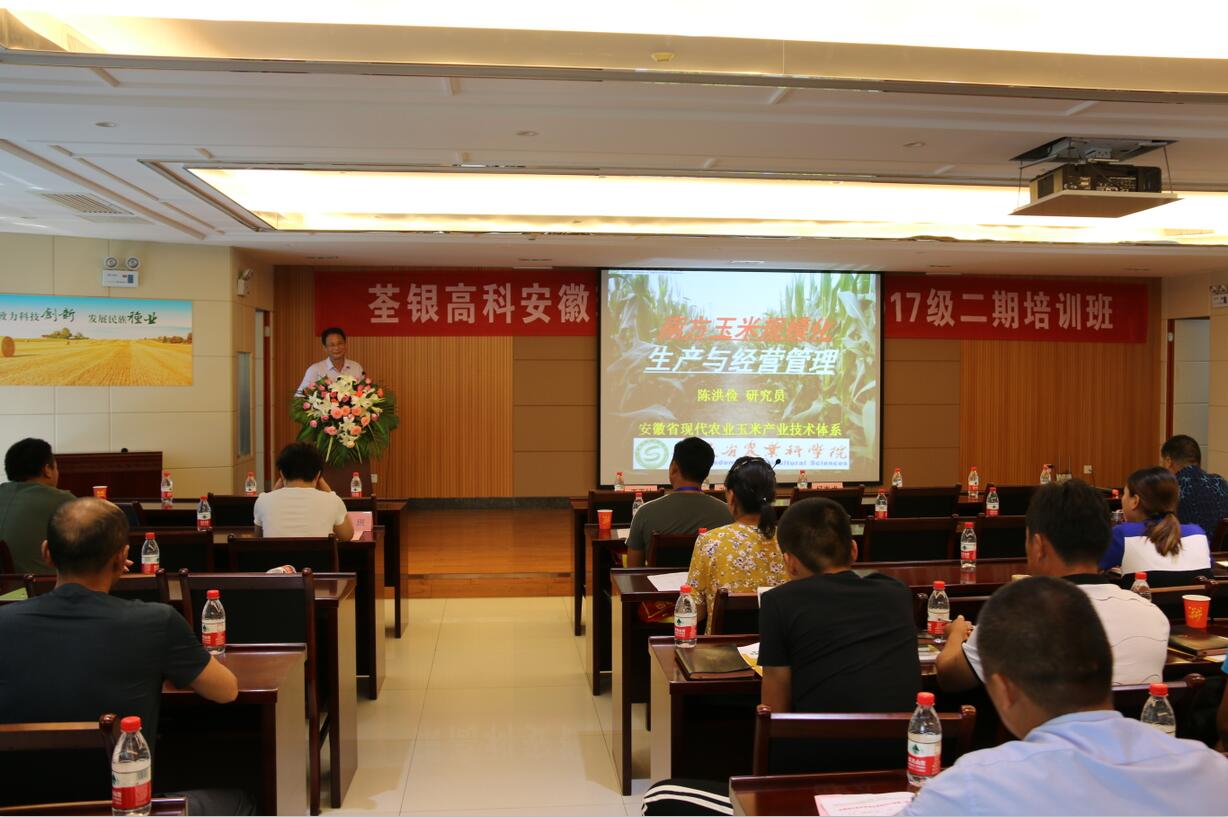 华人策略最新地址