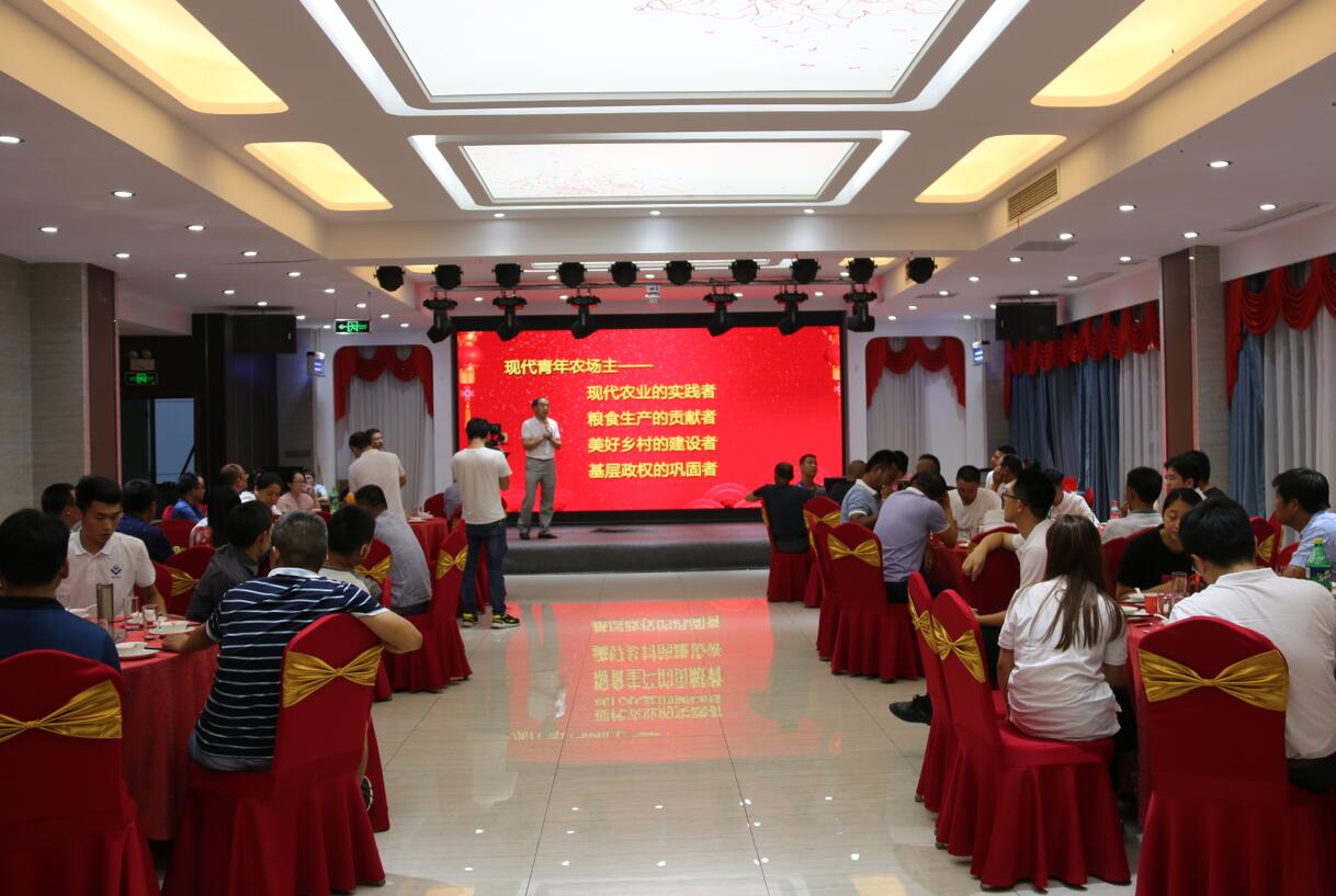 华人策略最新地址