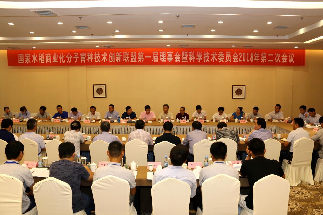 华人策略最新地址