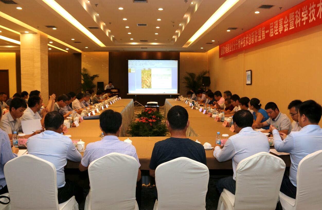 华人策略最新地址