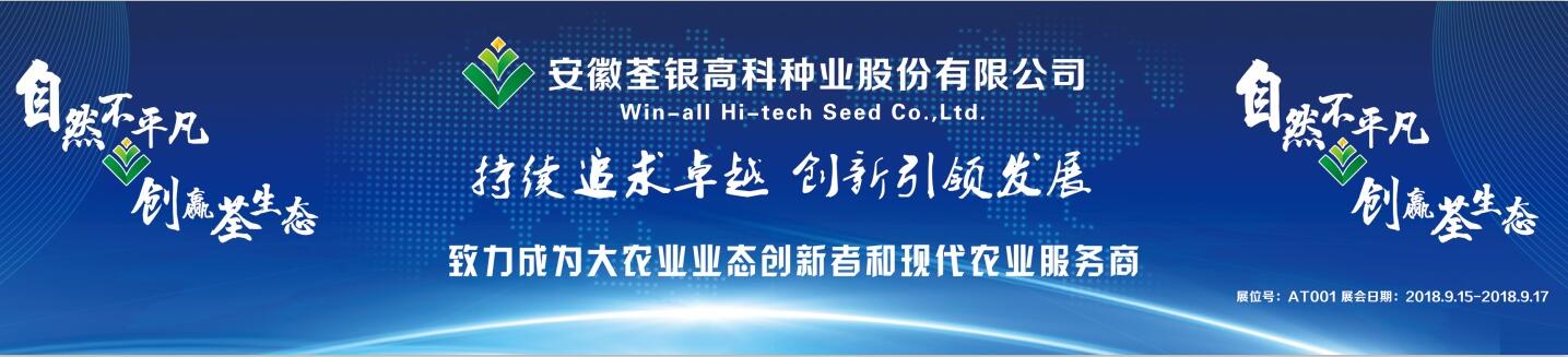 华人策略最新地址