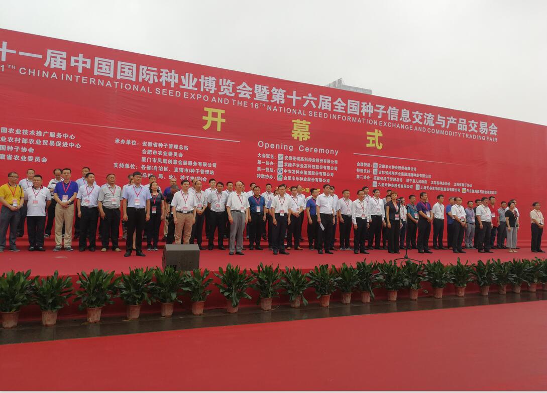 华人策略最新地址