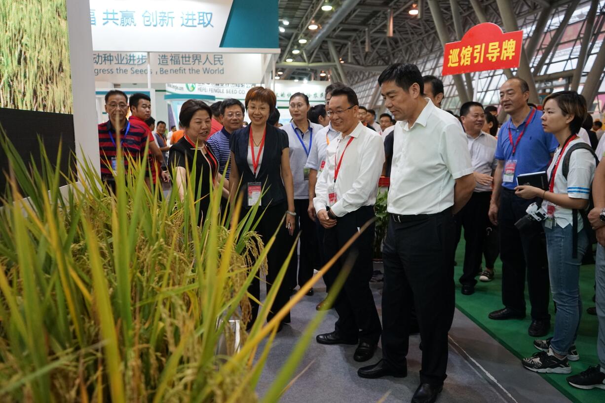 华人策略最新地址