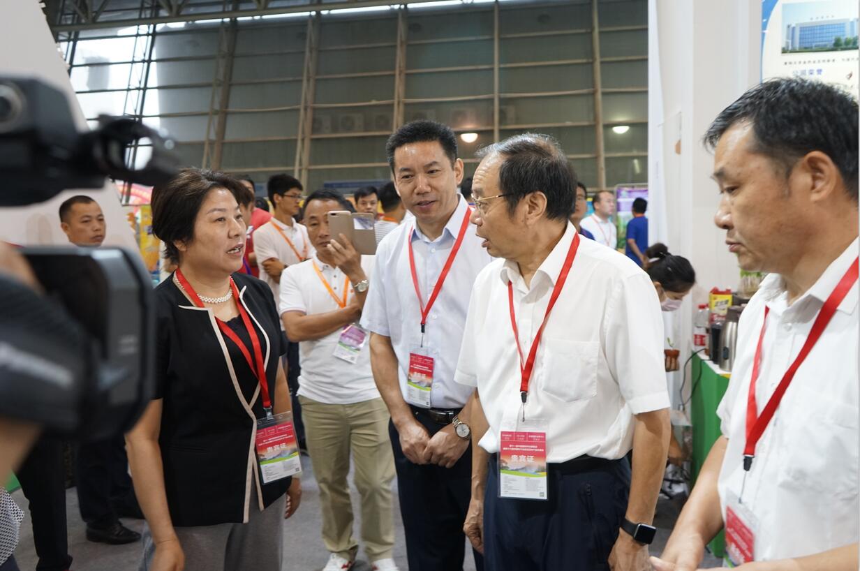 华人策略最新地址