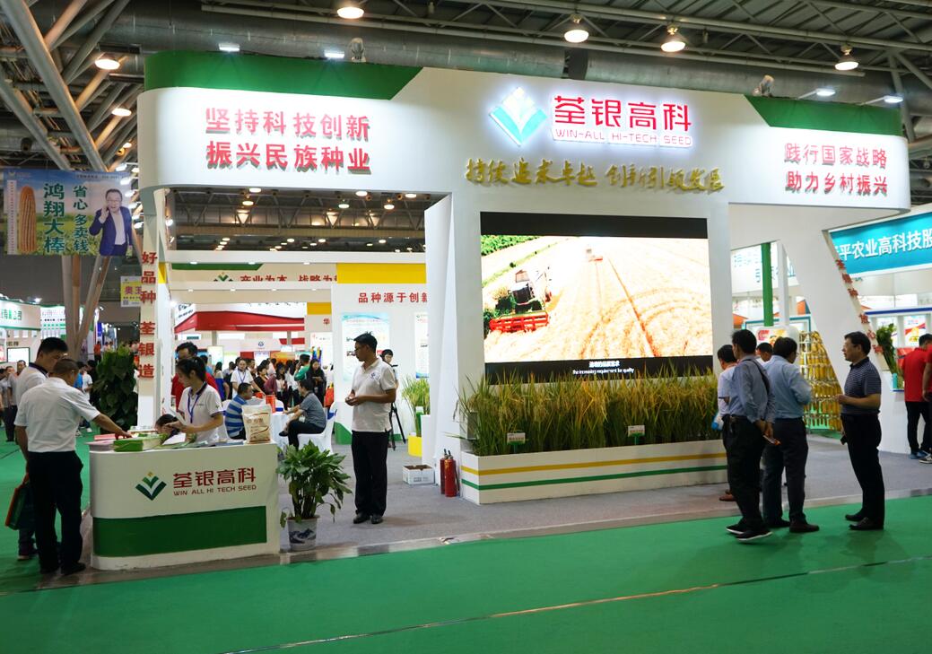 华人策略最新地址