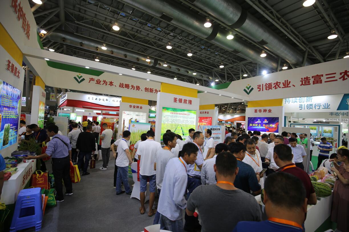 华人策略最新地址