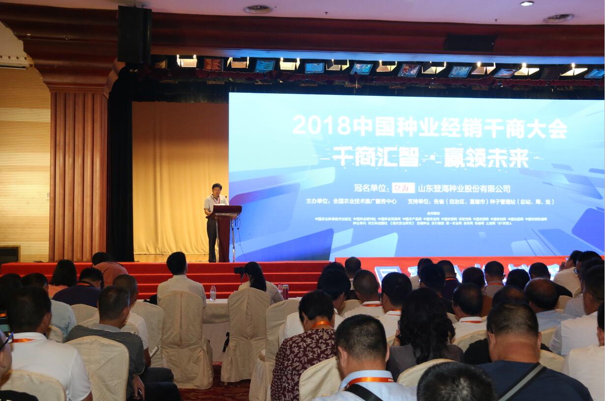 华人策略最新地址