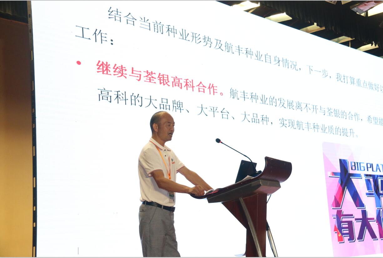 华人策略最新地址