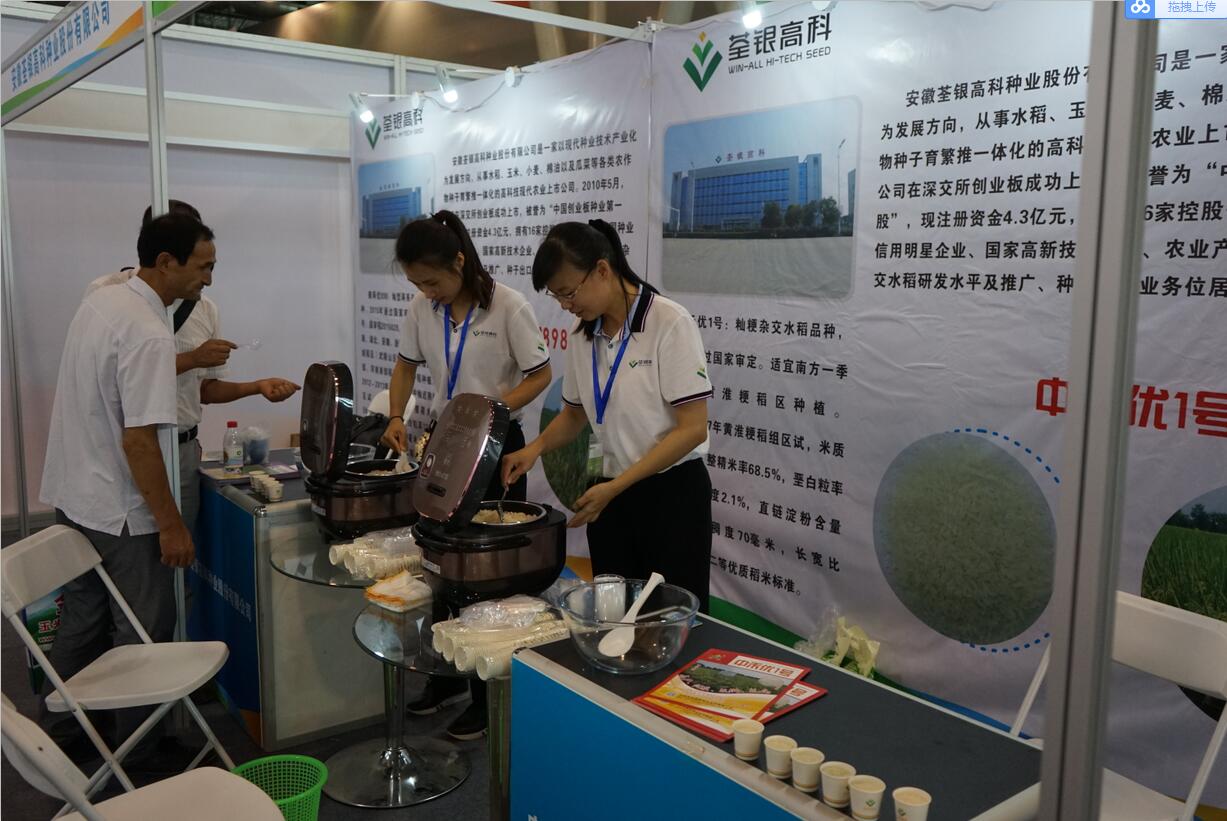 华人策略最新地址