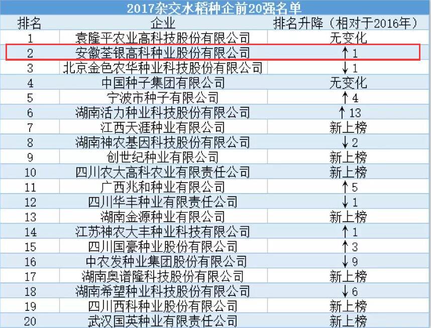 华人策略最新地址