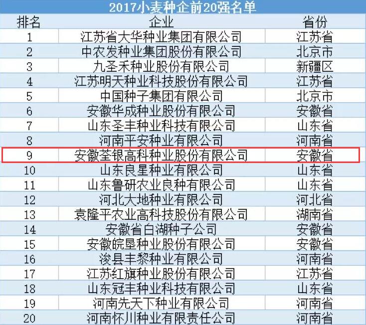 华人策略最新地址