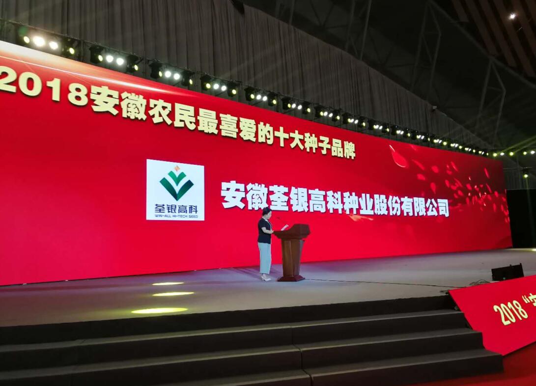 华人策略最新地址