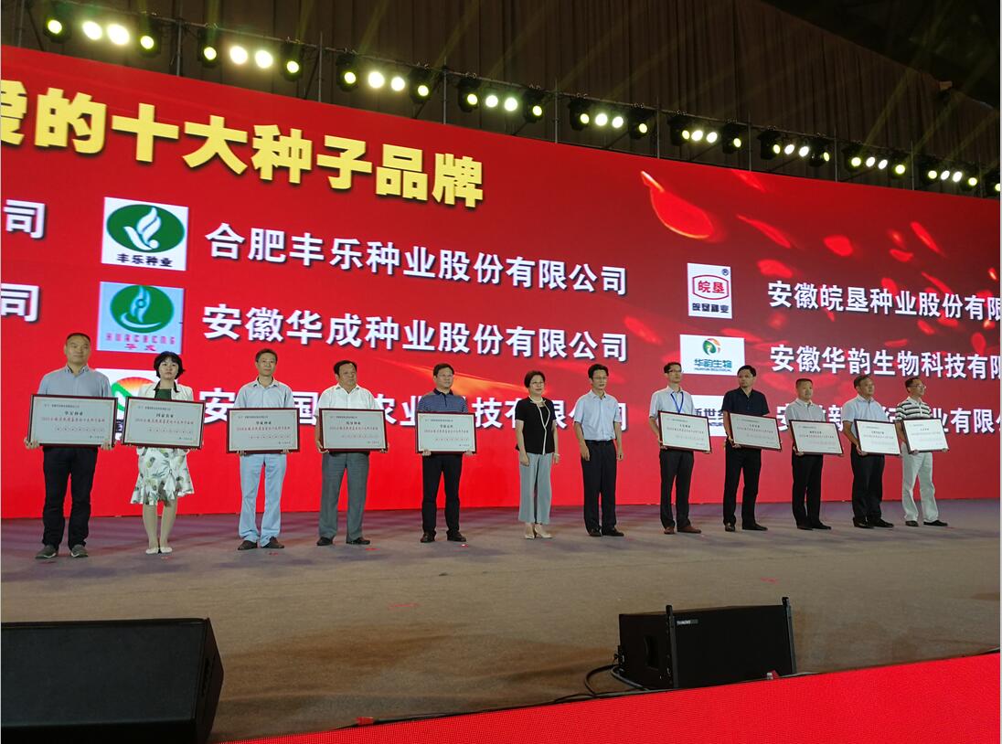 华人策略最新地址