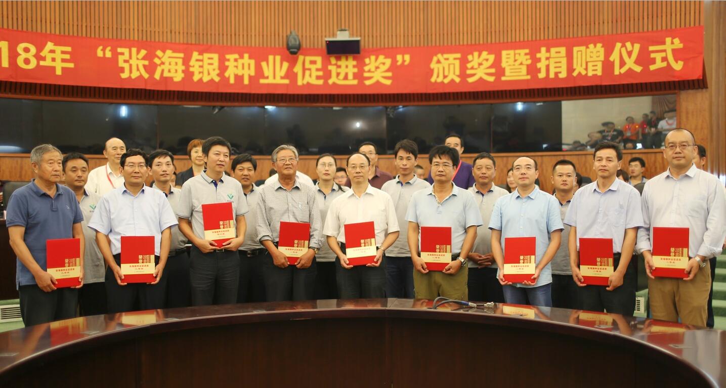 华人策略最新地址