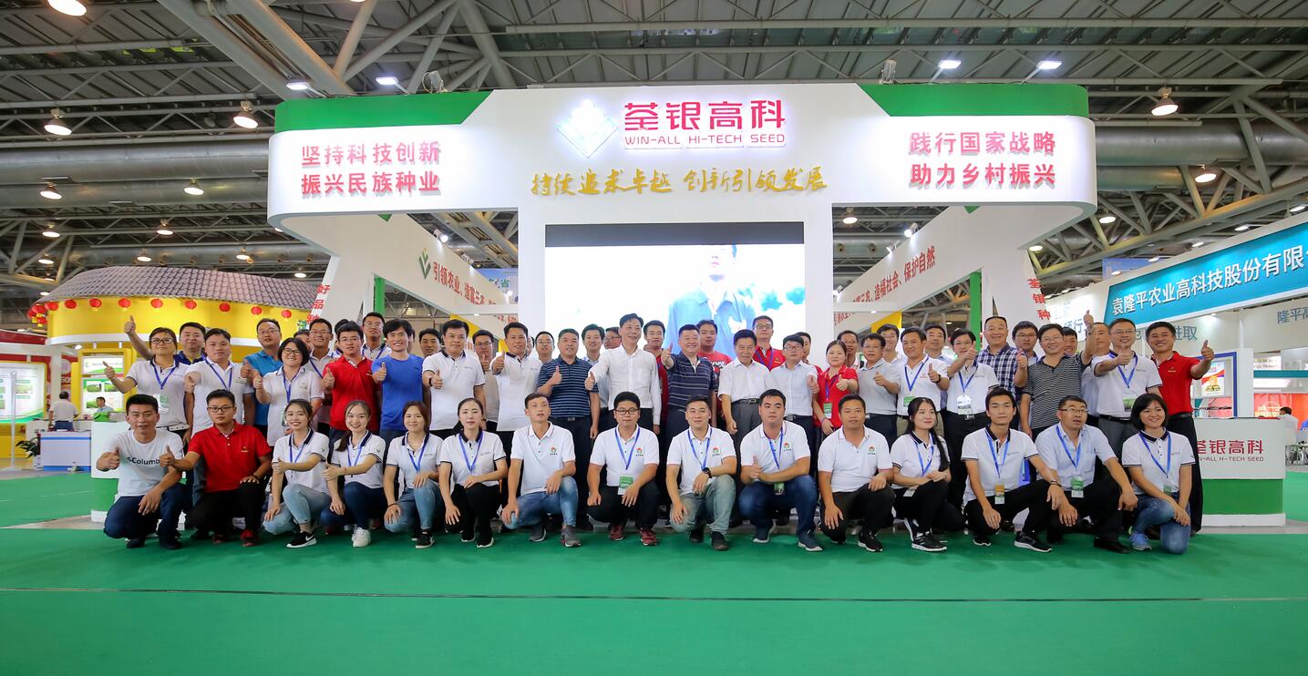 华人策略最新地址