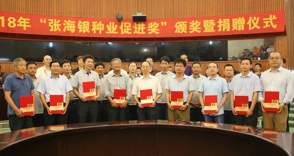 华人策略最新地址