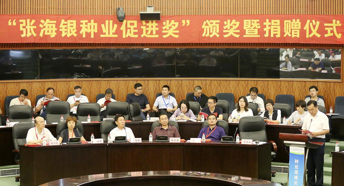 华人策略最新地址